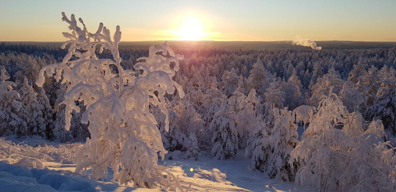 Villaski Rovaniemi Buitenkant foto